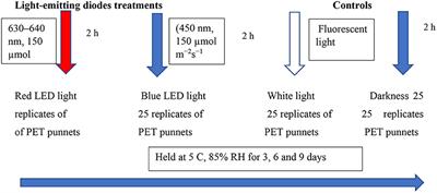 Changes in Functional Compounds, Volatiles, and Antioxidant Properties of Culinary Herb Coriander Leaves (Coriandrum sativum) Stored Under Red and Blue LED Light for Different Storage Times